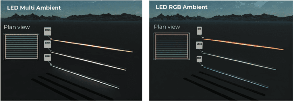 LED Multi Ambient vs LED RBG Ambient
